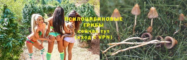 амф Навашино