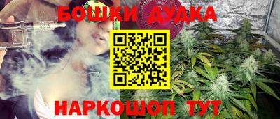 дурь Берёзовский