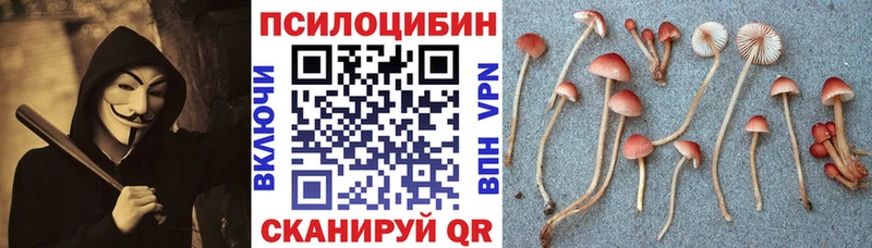 Галлюциногенные грибы Magic Shrooms  как найти закладки  Новошахтинск 