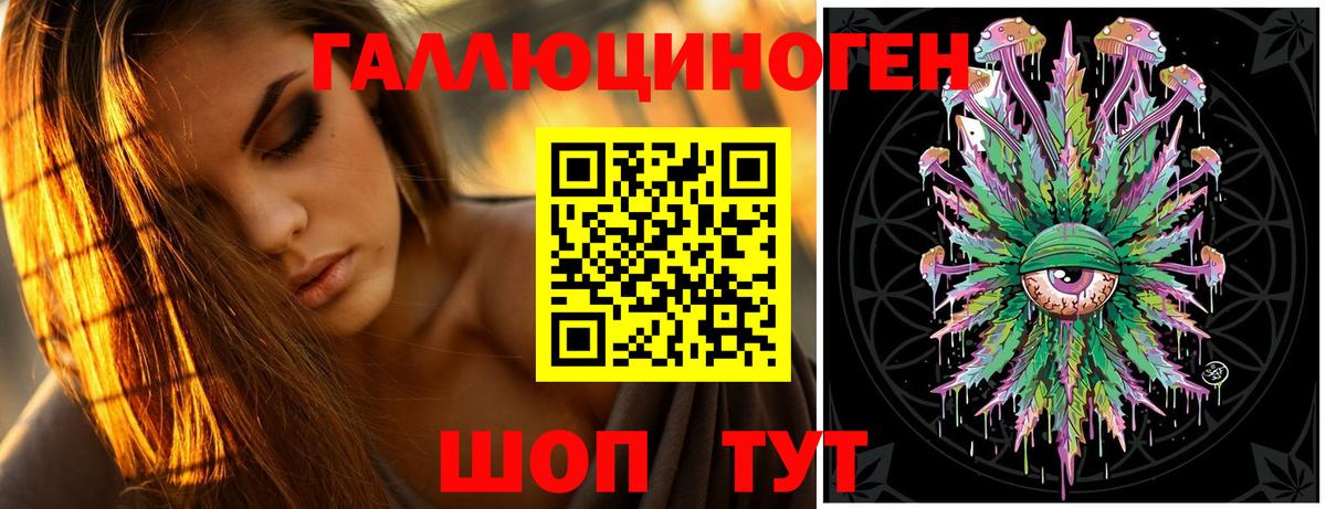 Галлюциногенные грибы Psilocybine cubensis Новошахтинск