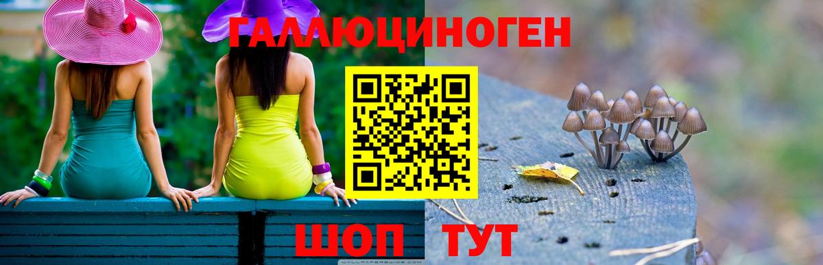 Галлюциногенные грибы MAGIC MUSHROOMS  Вход с VPN  Новошахтинск  Галлюциногенные грибы ЛСД 