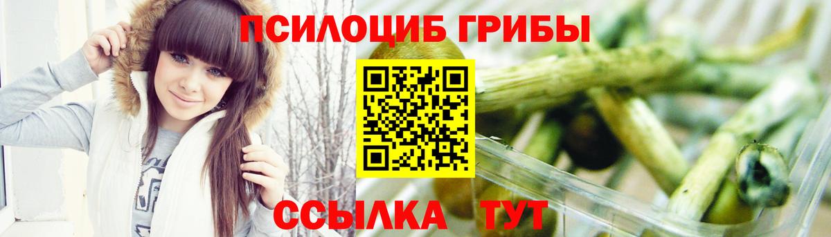 Псилоцибиновые грибы Cubensis  Новошахтинск  Псилоцибиновые грибы ЛСД 